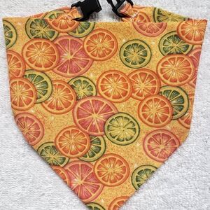 Citrus Delight Dog & Cat Pet Bandana With Buckle Clip